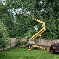 Lawn Watering Services in St Marys, WV